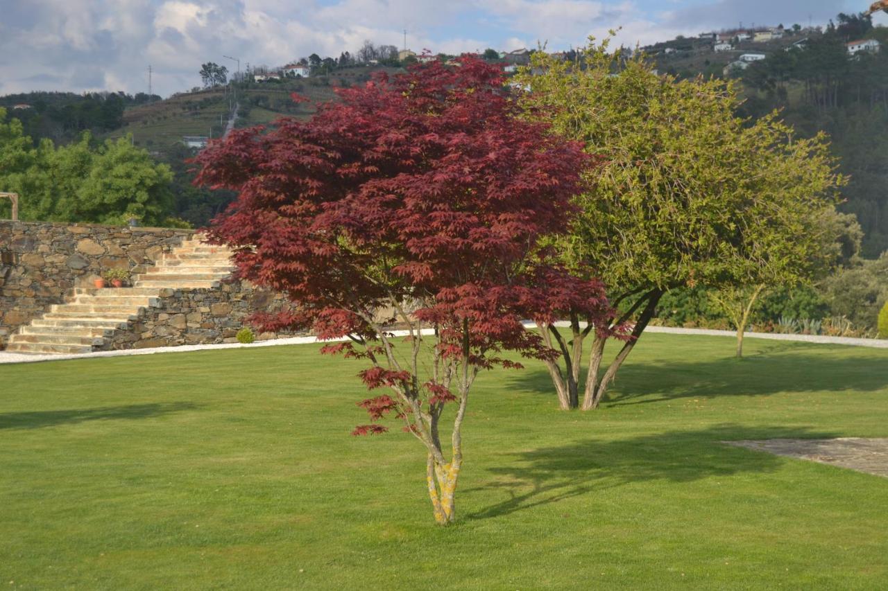 Quinta Da Portelada Peso da Regua Ngoại thất bức ảnh
