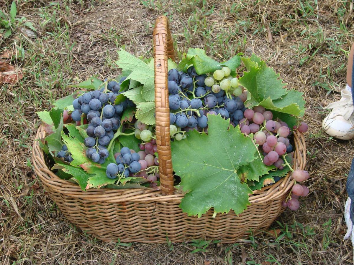 Quinta Da Portelada Peso da Regua Ngoại thất bức ảnh